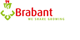 Brabantplant1